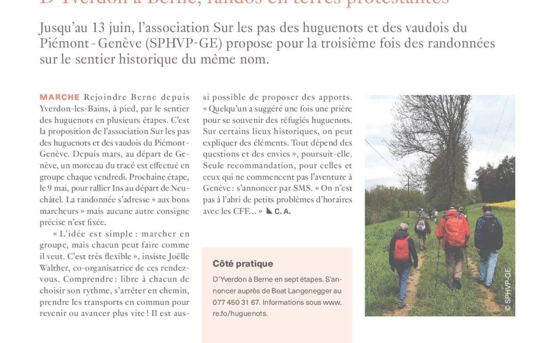 D’Yverdon à Berne, randos en terres protestantes