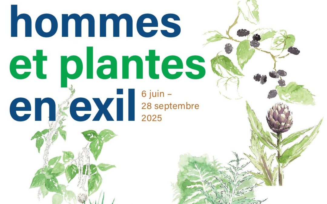 6 juin – 28 septembre 2025 : Prendre racine hommes et plantes en exil